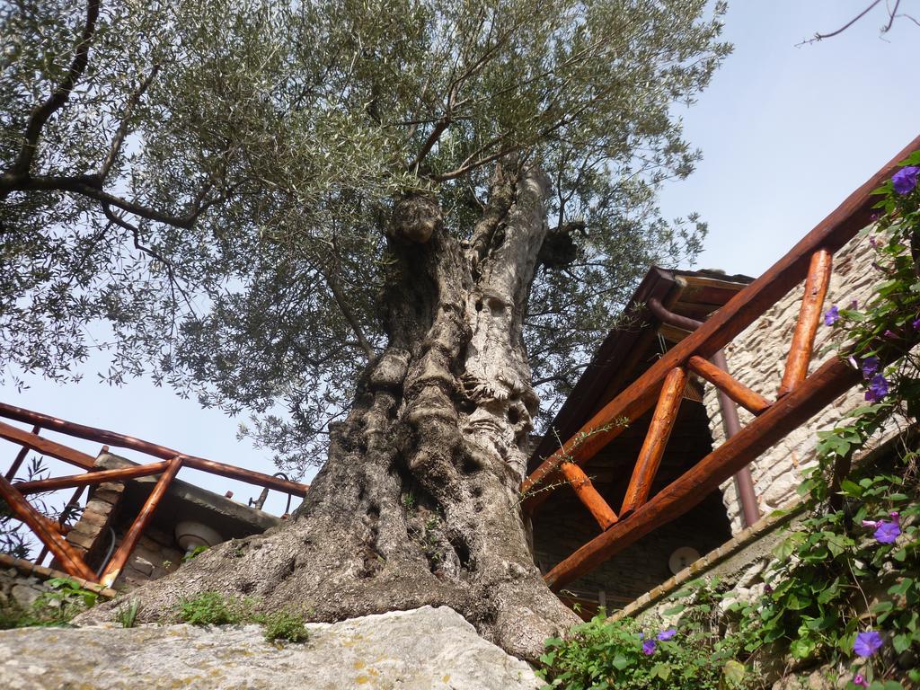 Rocca Del Vento San Pantaleone Exterior foto